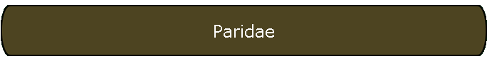 Paridae