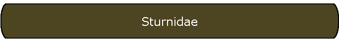 Sturnidae