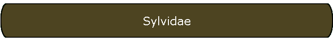 Sylvidae