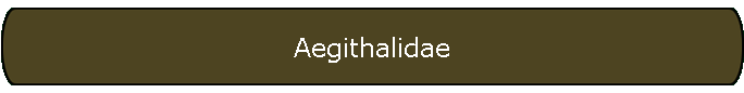 Aegithalidae