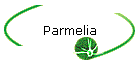 Parmelia