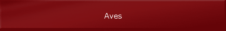 Aves