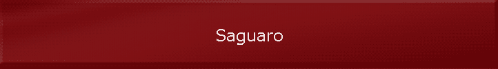 Saguaro