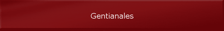 Gentianales