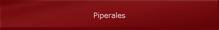 Piperales