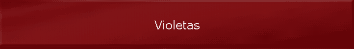 Violetas