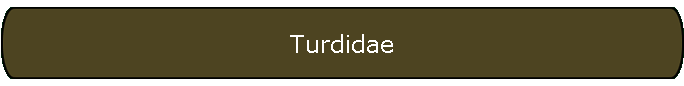 Turdidae