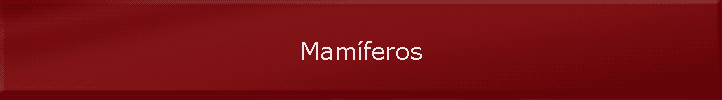 Mamferos