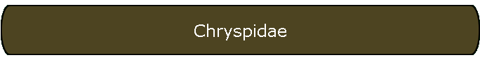 Chryspidae