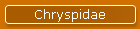 Chryspidae