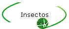 Insectos