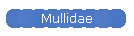 Mullidae
