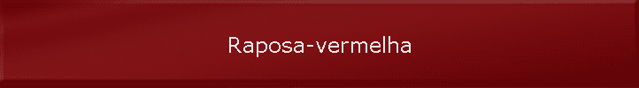 Raposa-vermelha