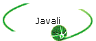 Javali