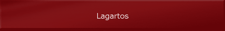 Lagartos