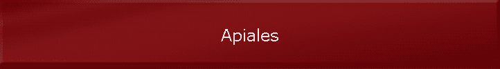 Apiales