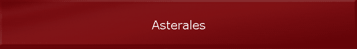 Asterales