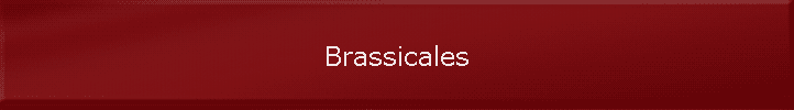 Brassicales