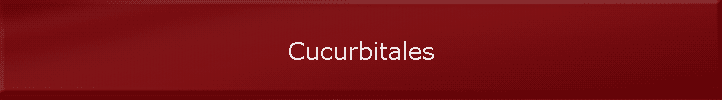 Cucurbitales