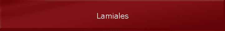 Lamiales