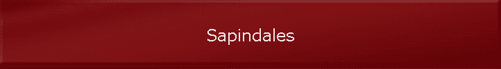 Sapindales