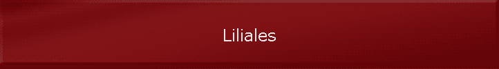 Liliales